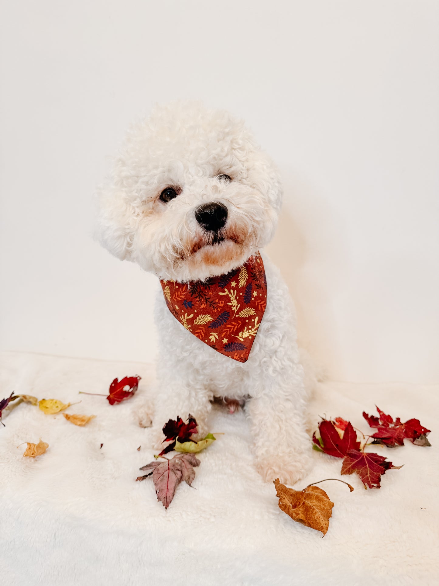 Feeling Cozy Bandana